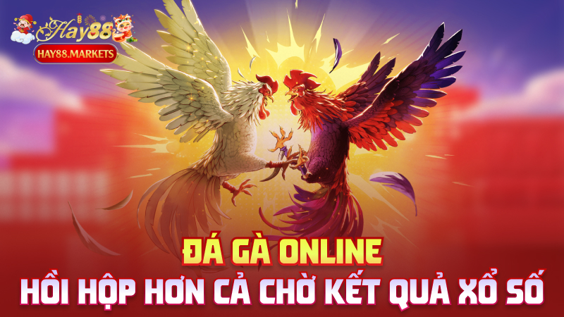 Đá gà online – Hồi hộp hơn cả chờ kết quả xổ số
